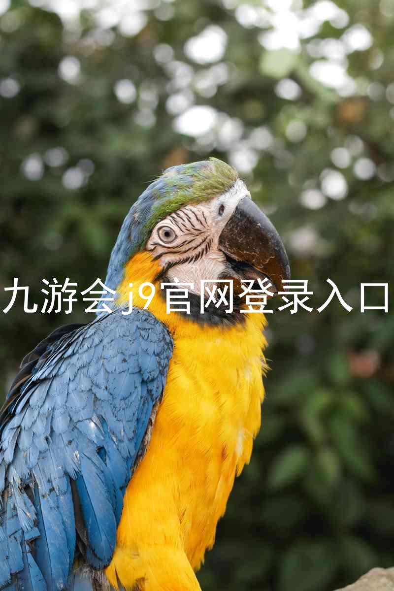 九游会j9官网登录入口